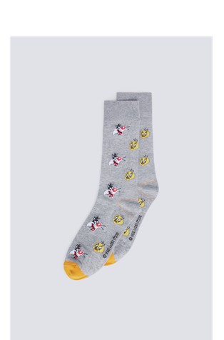 Tweety and Silvester čarape