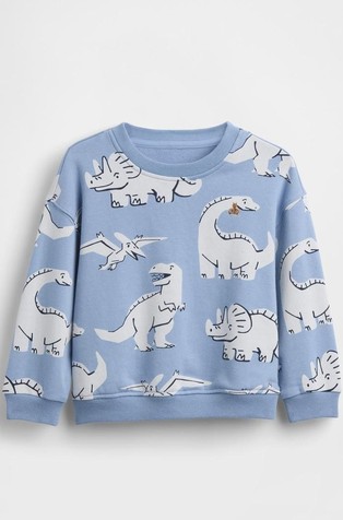 Baby & Toddler VintageSoft Terry Graphic Sweatshirt
