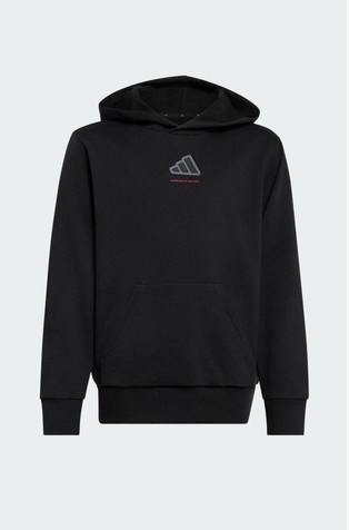 Essentials Fleece Hoodie
