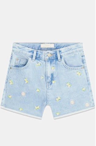 Embroidered denim shorts