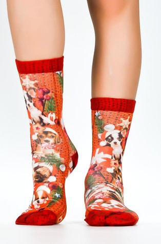 Puppy Santa obiteljski paket od 3 para čarapa u poklon kutiji