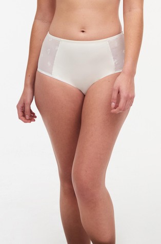 Bold Curve High Waist Brief