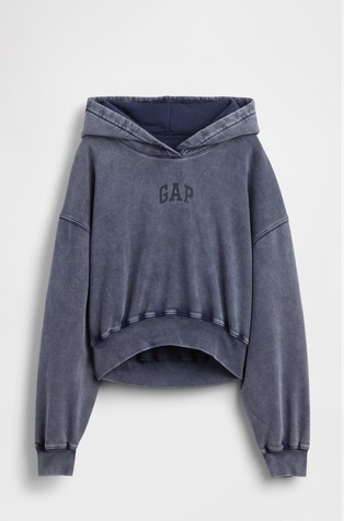 Vintage Soft Arch Logo Cropped Hoodie