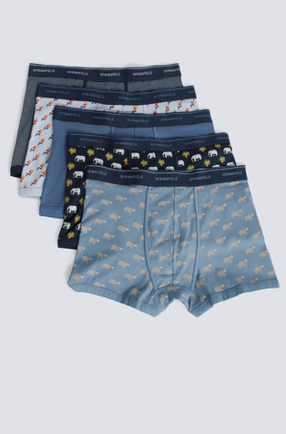 5-pack boxers in stretch cotton