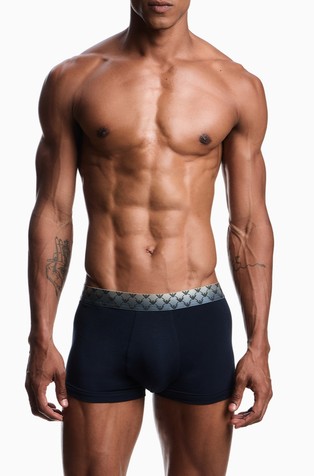 ASV logoband jersey boxer briefs